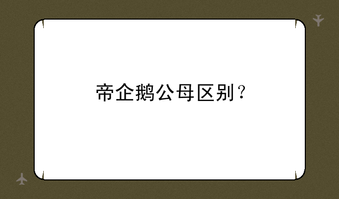 帝企鹅公母区别？