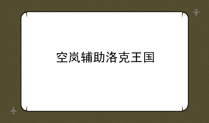 空岚辅助洛克王国