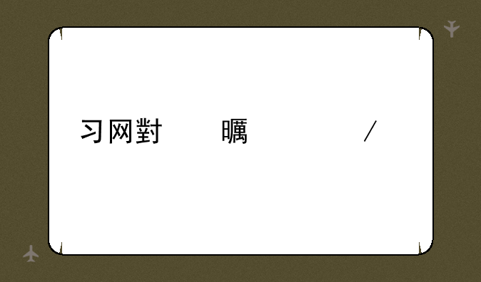 习网小书童下载