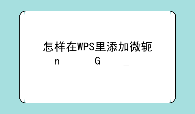 怎样在WPS里添加微软雅黑字体