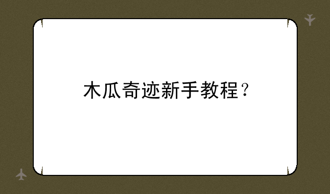 木瓜奇迹新手教程？
