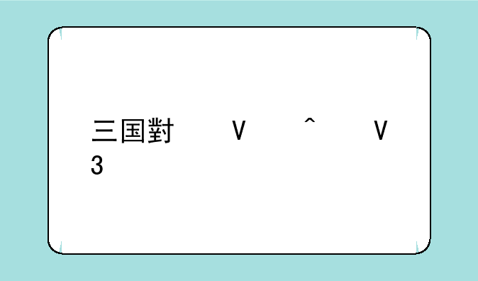 三国小镇无敌版的技能介绍