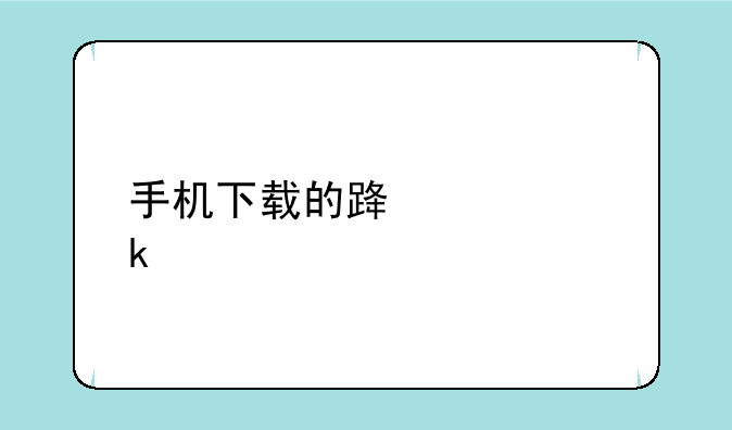 手机下载的路证通打不开怎么回事