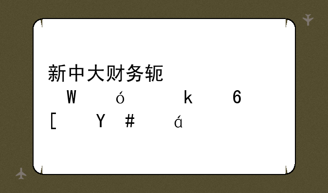新中大财务软件如何导出多栏式明细账