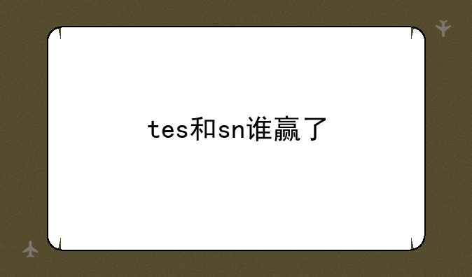 tes和sn谁赢了