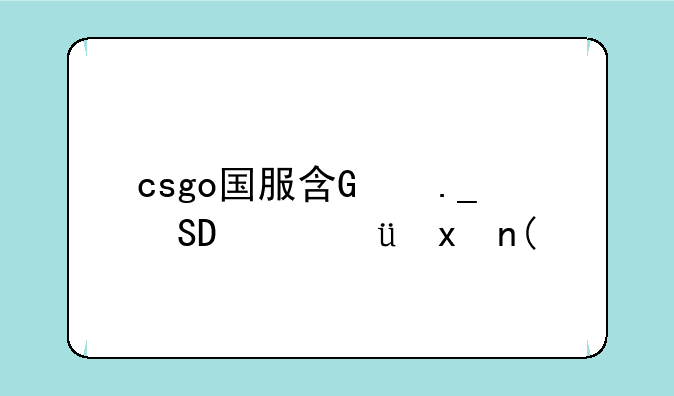 csgo国服启动项-csgo国服启动项怎么开启