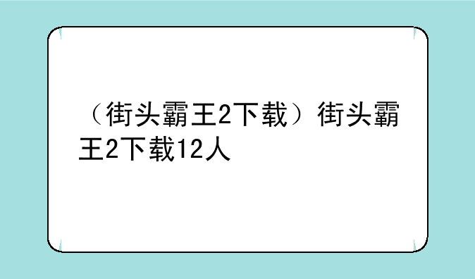 （街头霸王2下载）街头霸王2下载12人